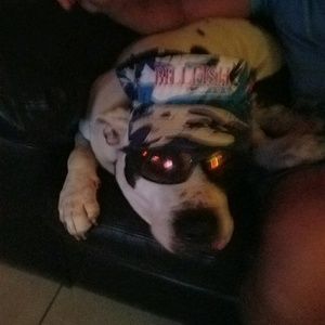 Meet your Posher, Lisa